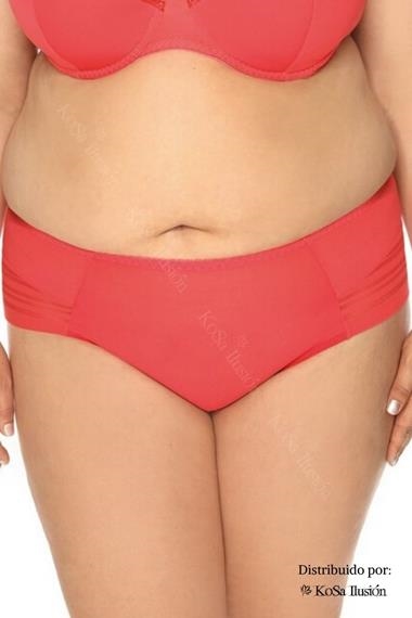 Comprar bragas tallas grandes de mujer ( 40 artículos)