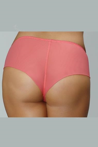 Bragas tipo culotte tallas grandes (50 artículos)